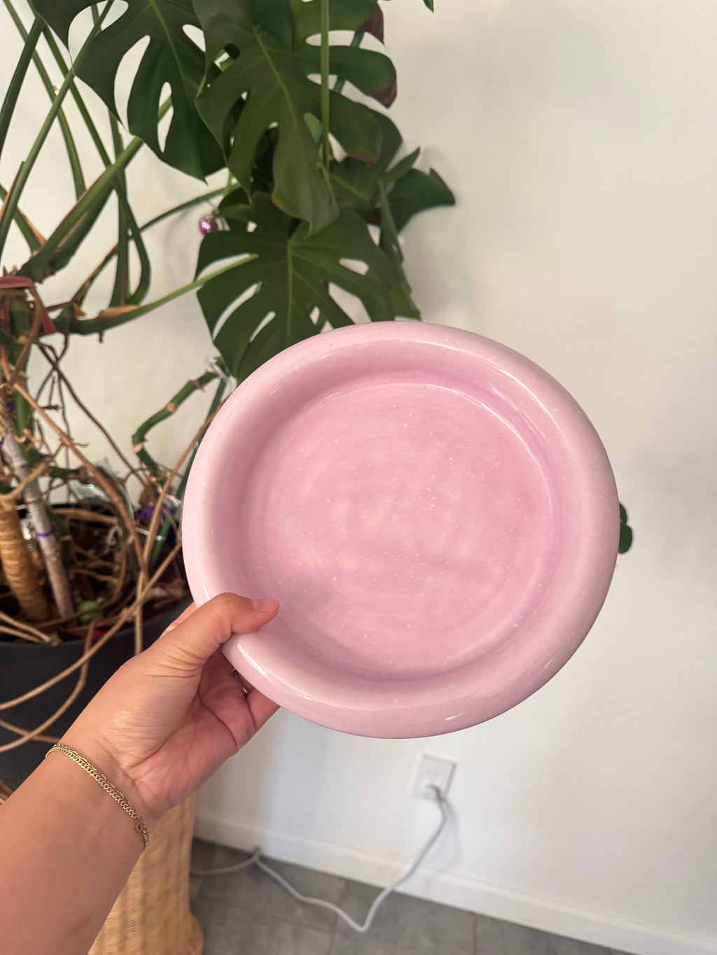 Donut Dinner Plate