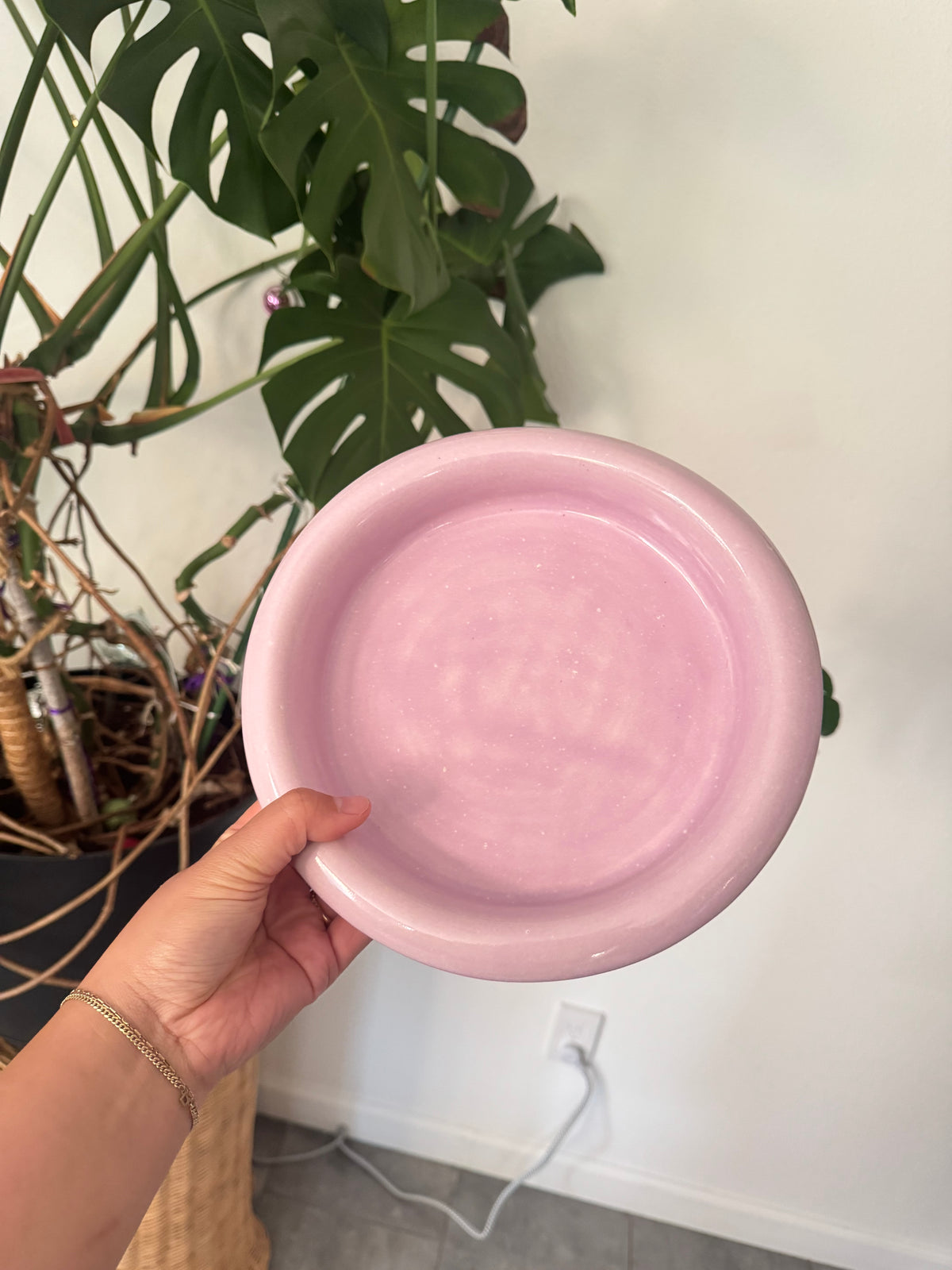 Donut Dinner Plate
